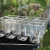 Propagator miniszklarenka na rośliny, siewki 18x15x6 cm (3).webp