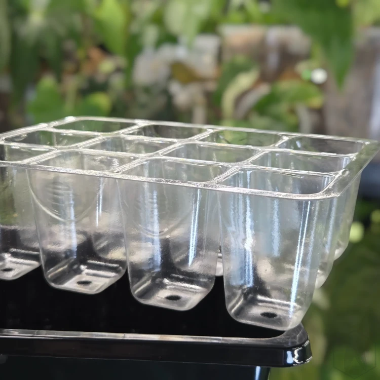 Propagator miniszklarenka na rośliny, siewki 18x15x6 cm (3).webp