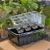 Propagator miniszklarenka na rośliny, siewki 18x15x6 cm (4).webp