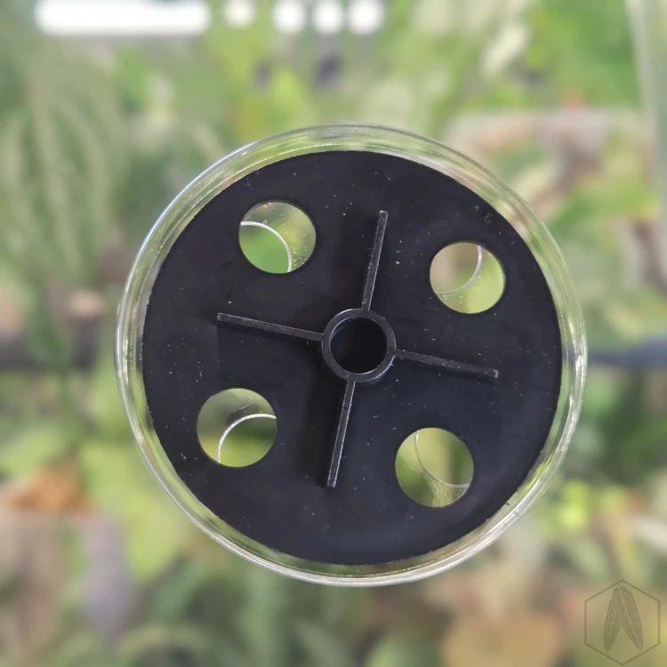 Propagator miniszklarenka na rośliny, siewki 18x15x6 cm (5).webp