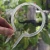 20250316_231752-Photoroom.webp