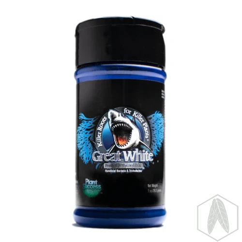 Great white.jpg