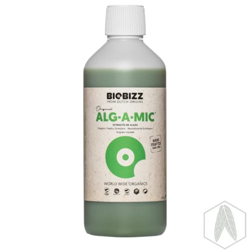 ALG-A-MIC (1).webp