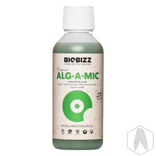 ALG-A-MIC (3).webp