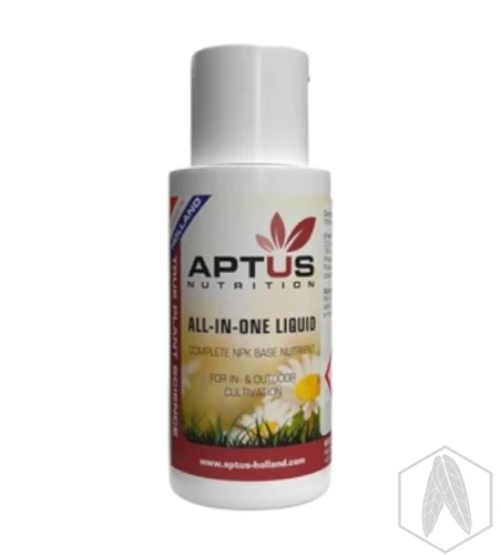 AIO (1).webp