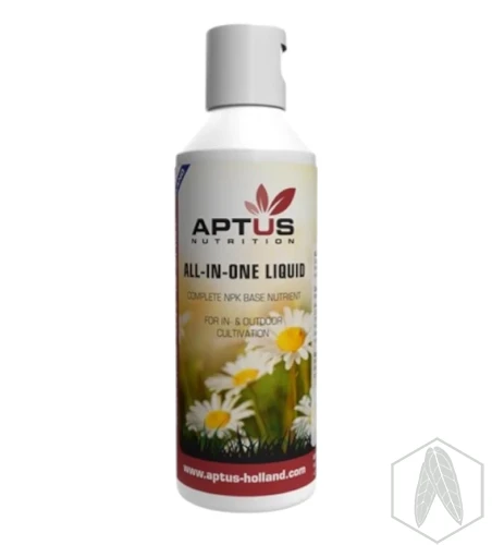 AIO (2).webp