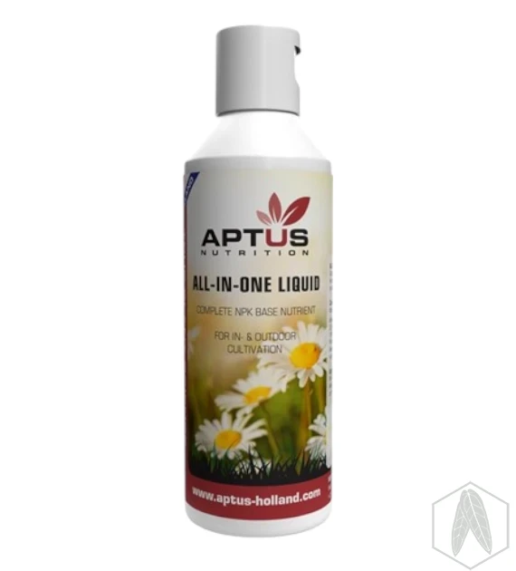 AIO (2).webp