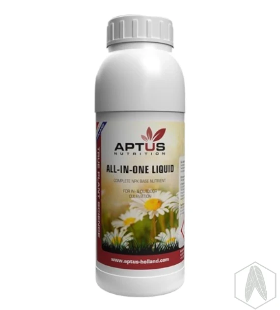 AIO (4).webp