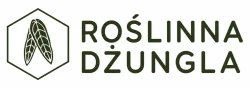Shoper demo brak logo - strona główna